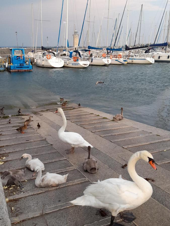 Villa Elisa Lago E Monti Carzago Riviera Zewnętrze zdjęcie